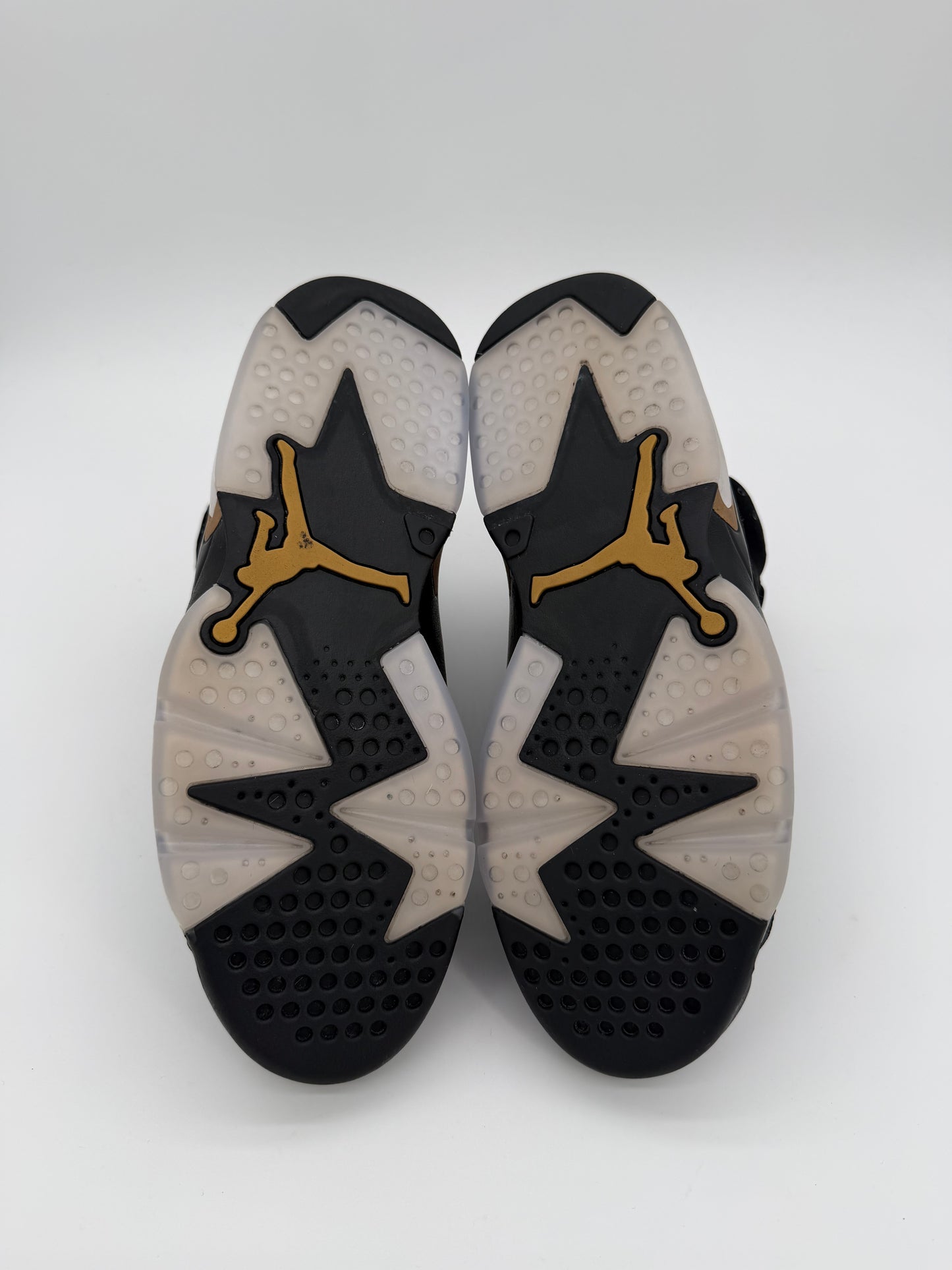 Jordan 6 Retro DMP (2020)