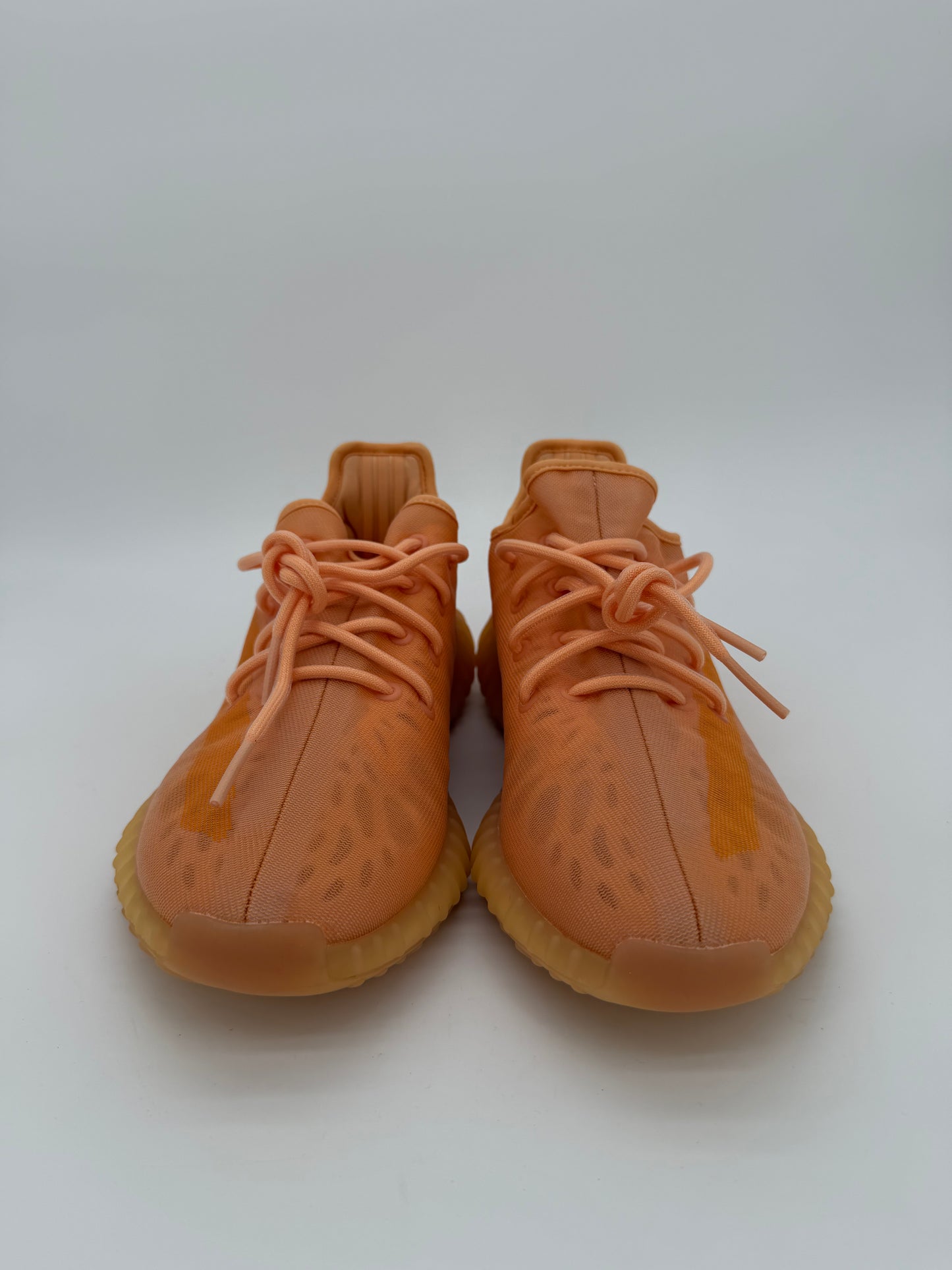 adidas Yeezy Boost 350 V2 Mono Clay