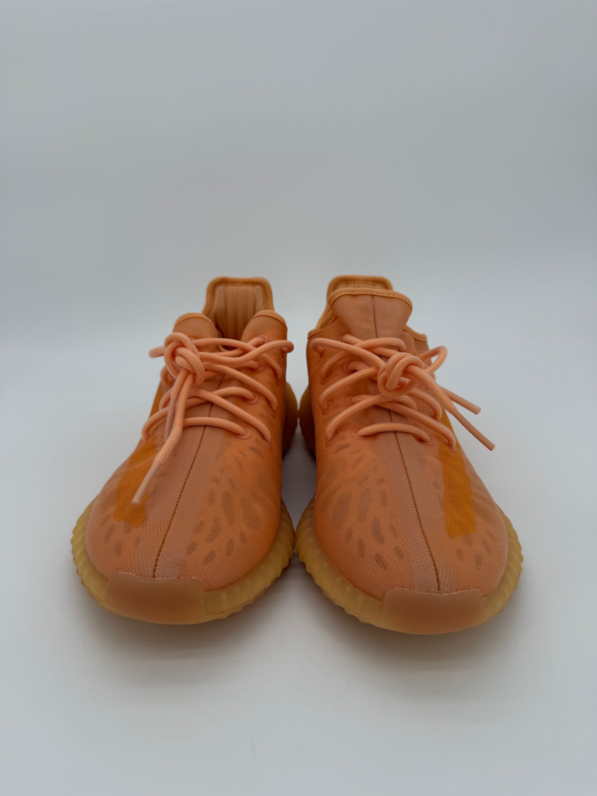 adidas Yeezy Boost 350 V2 Mono Clay