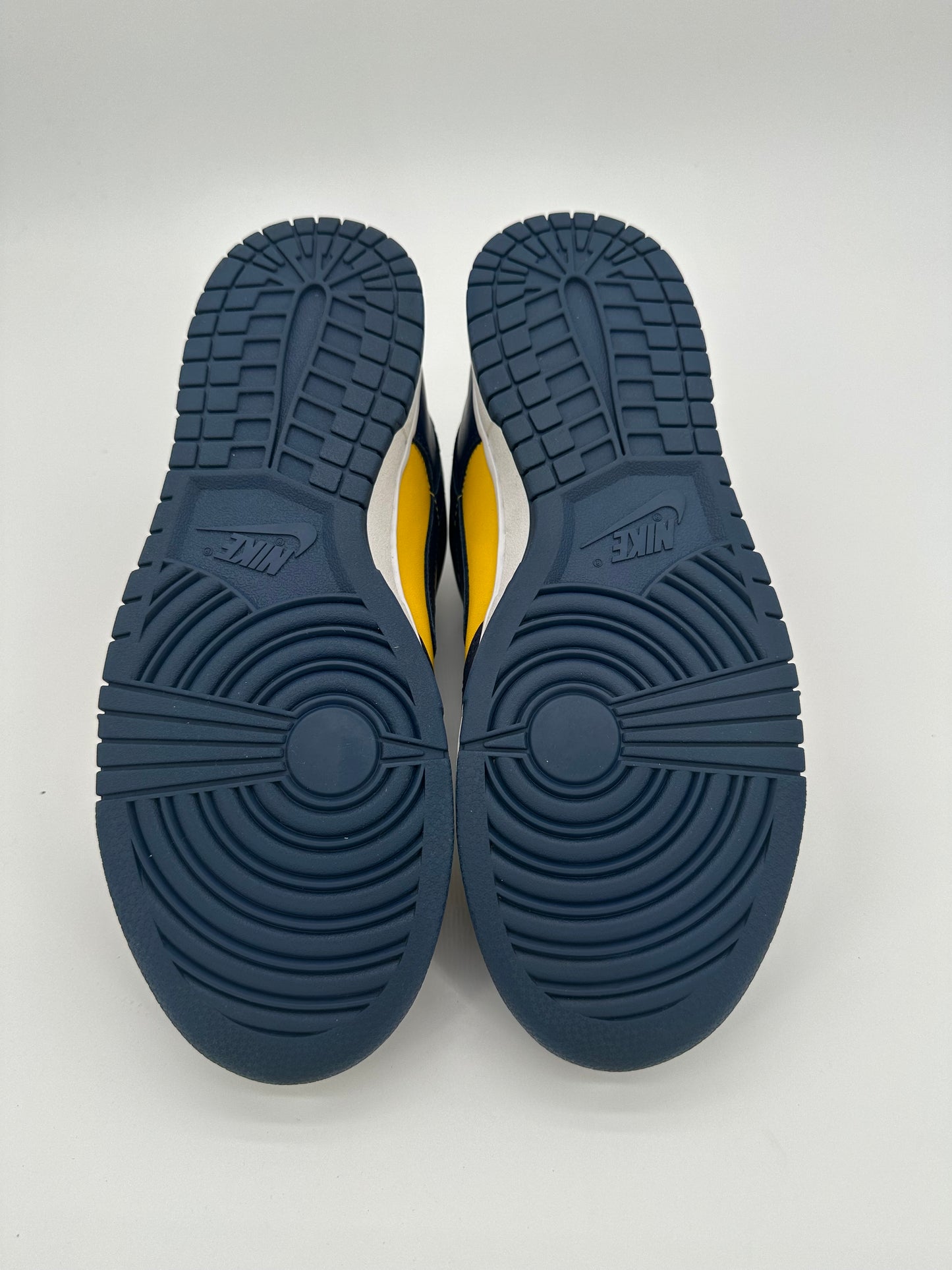 Nike Dunk Low Michigan (2021)