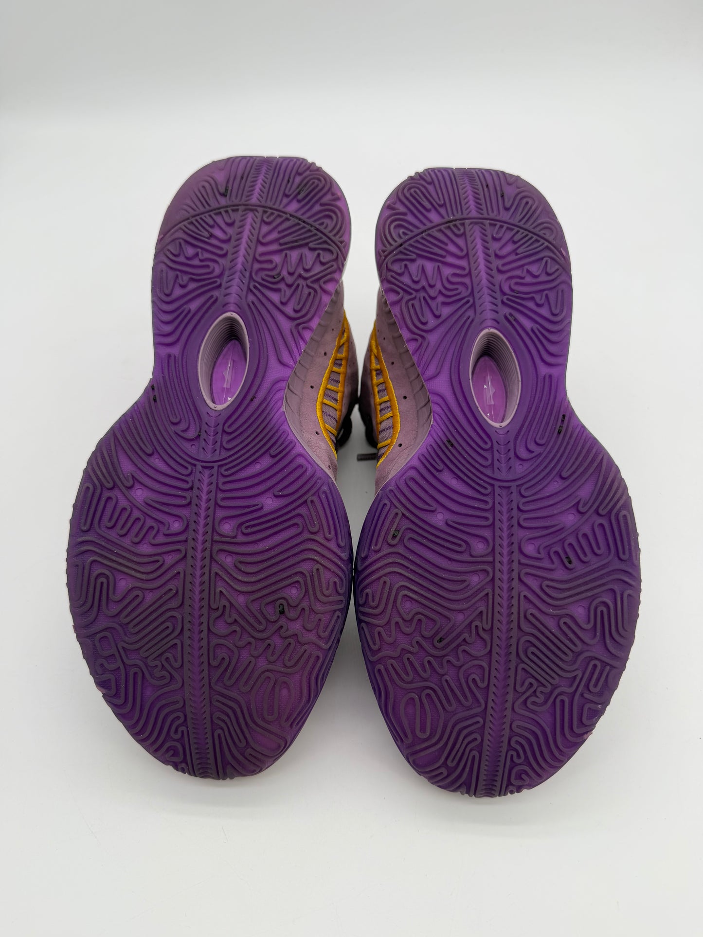 Nike LeBron 21 Purple Rain