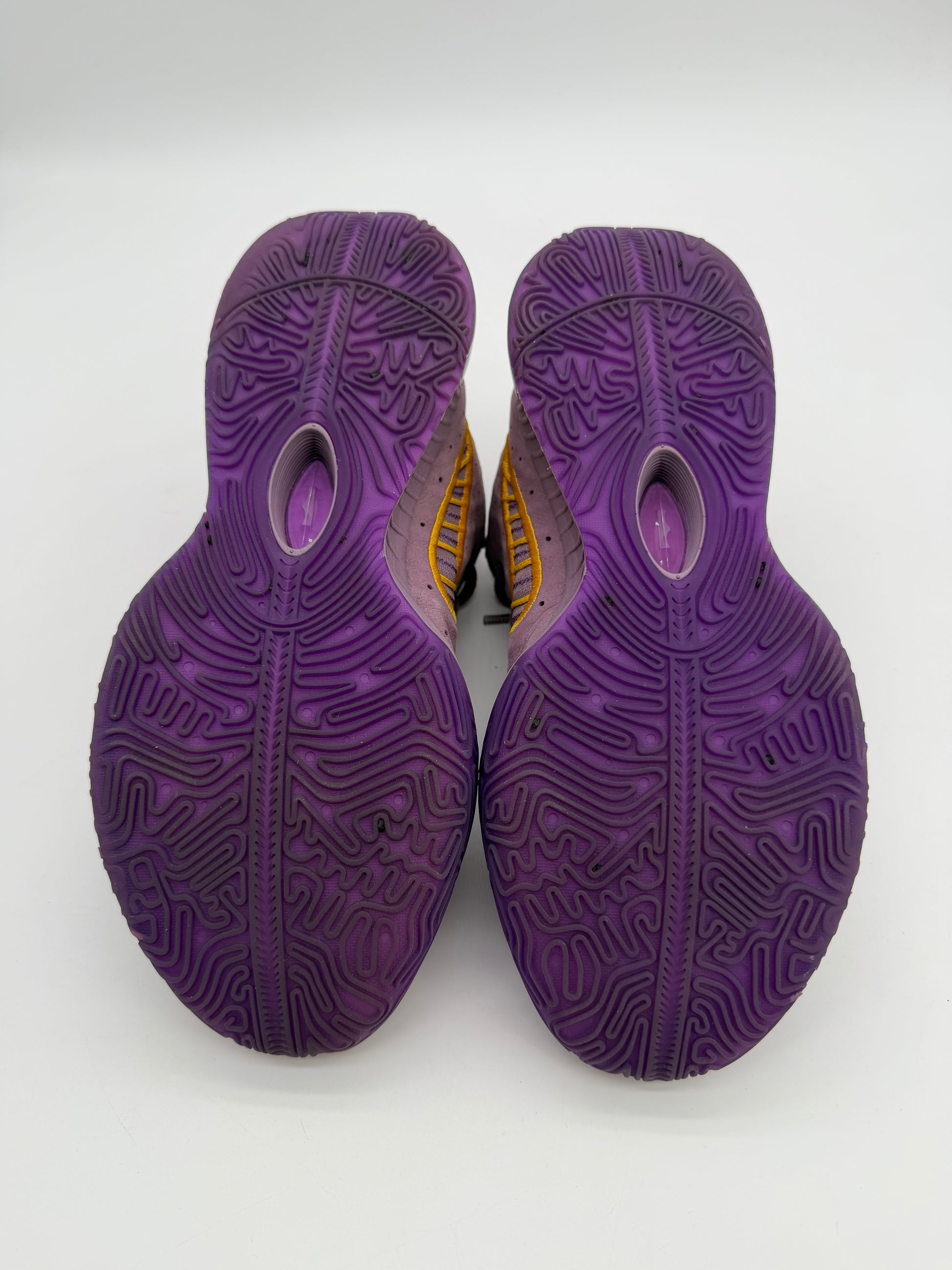 Nike LeBron 21 Purple Rain