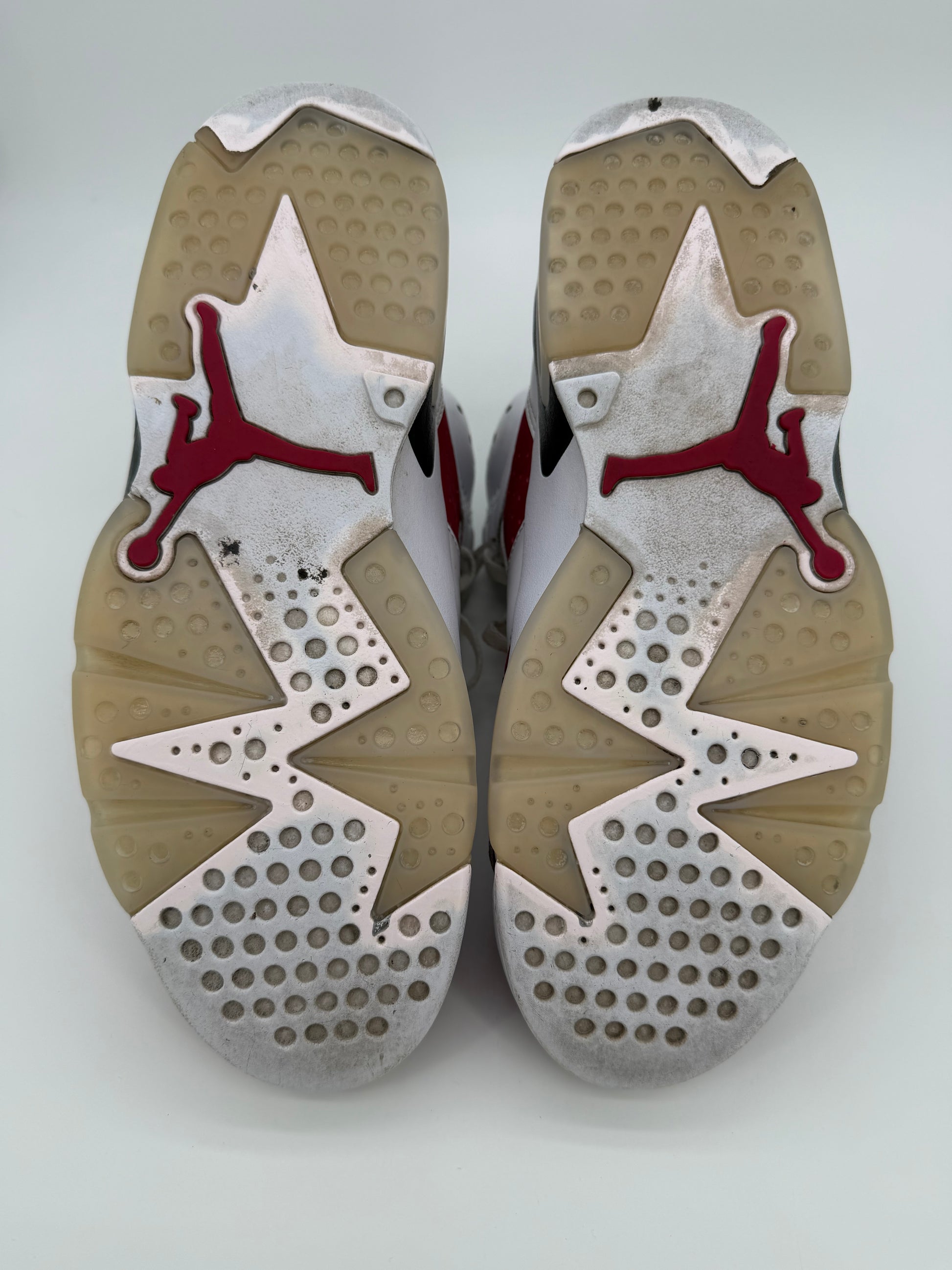 Jordan 6 Retro Carmine (2021)