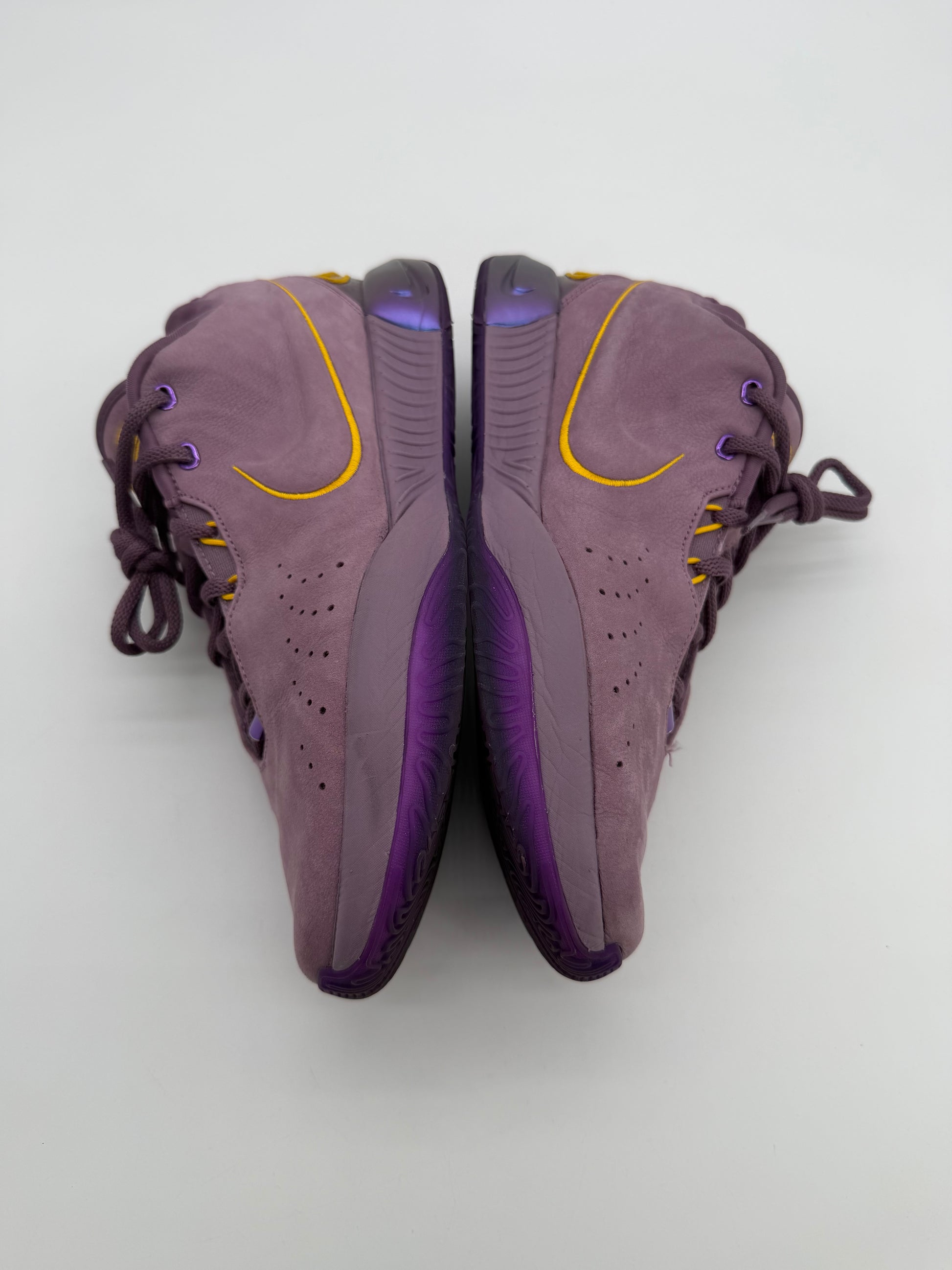 Nike LeBron 21 Purple Rain