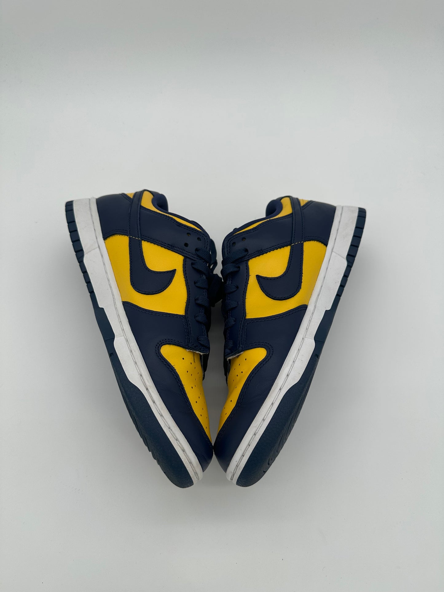 Nike Dunk Low Michigan (2021)