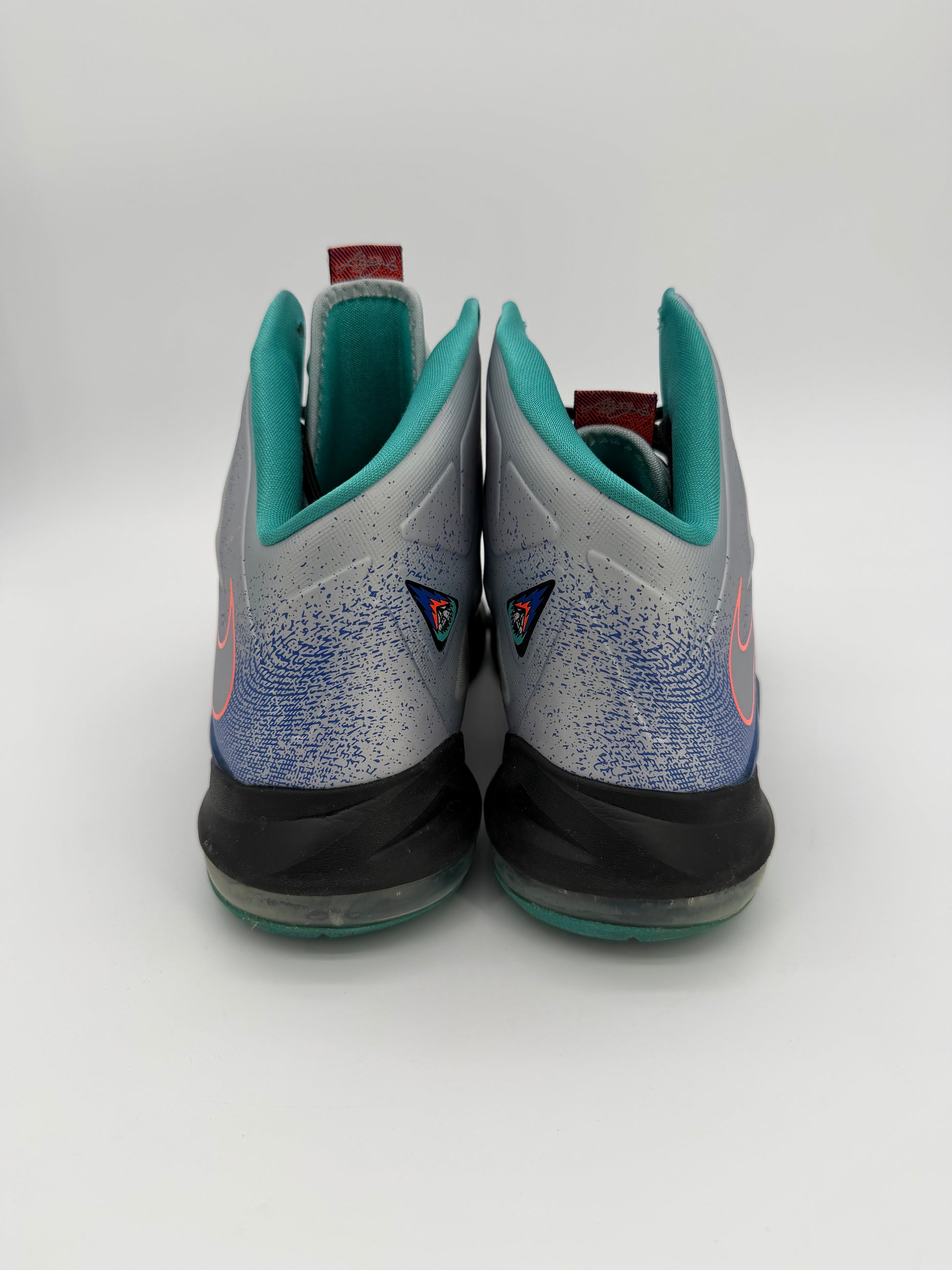 Nike LeBron X Re-Entry