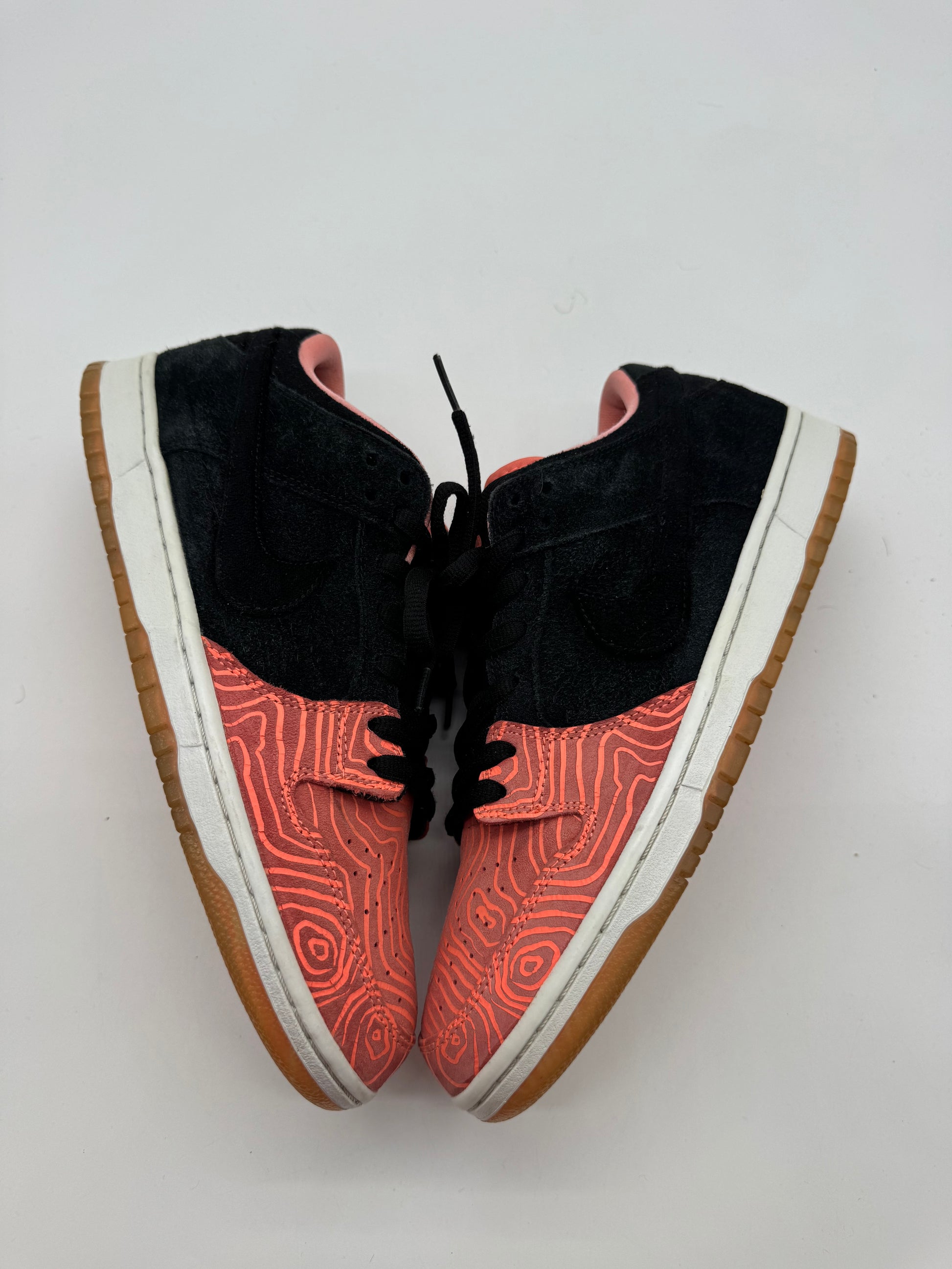 Nike SB Dunk Low Premier Fish Ladder