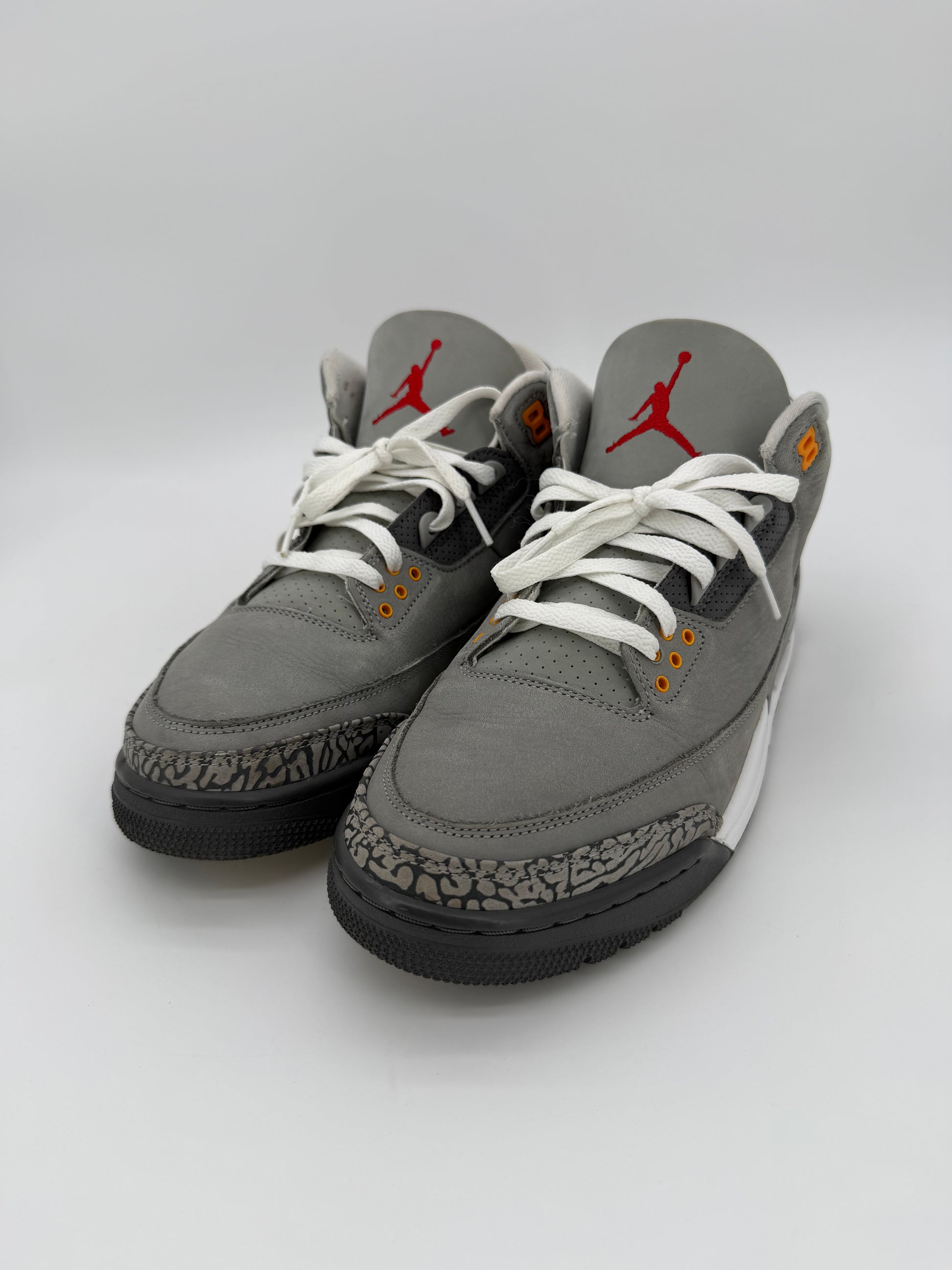 Jordan 3 Retro Cool Grey (2021)