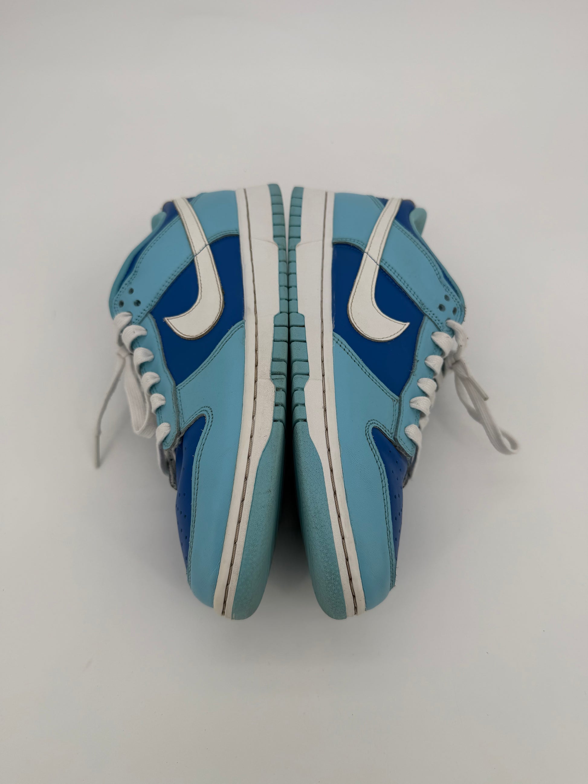 Nike Dunk Low Retro QS Argon (2022)