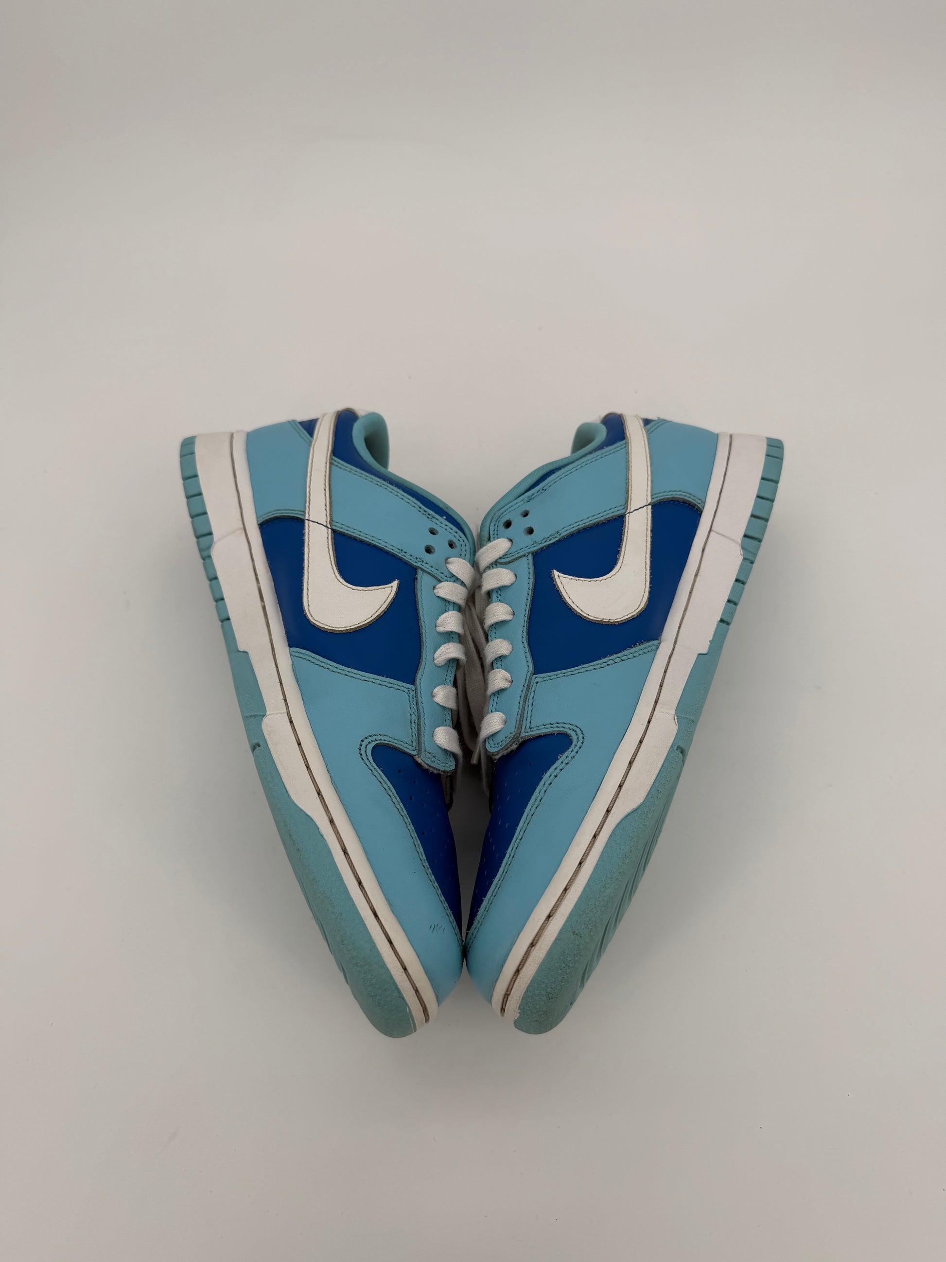 Nike Dunk Low Retro QS Argon (2022)