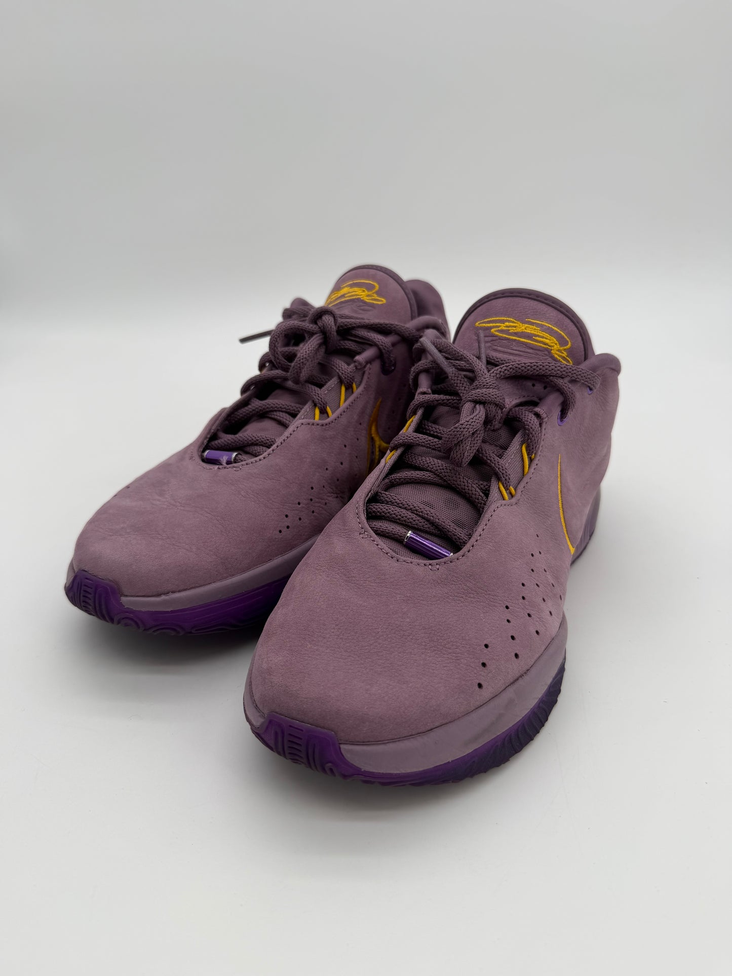 Nike LeBron 21 Purple Rain