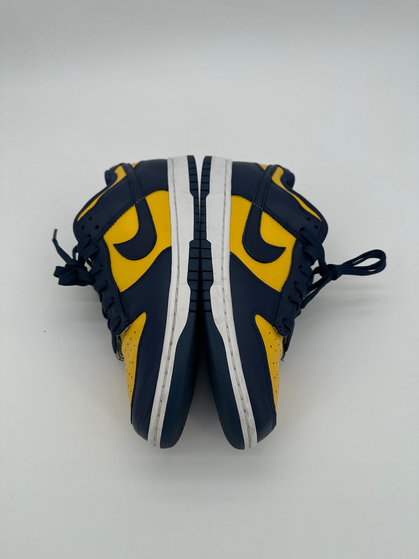 Nike Dunk Low Michigan (2021)