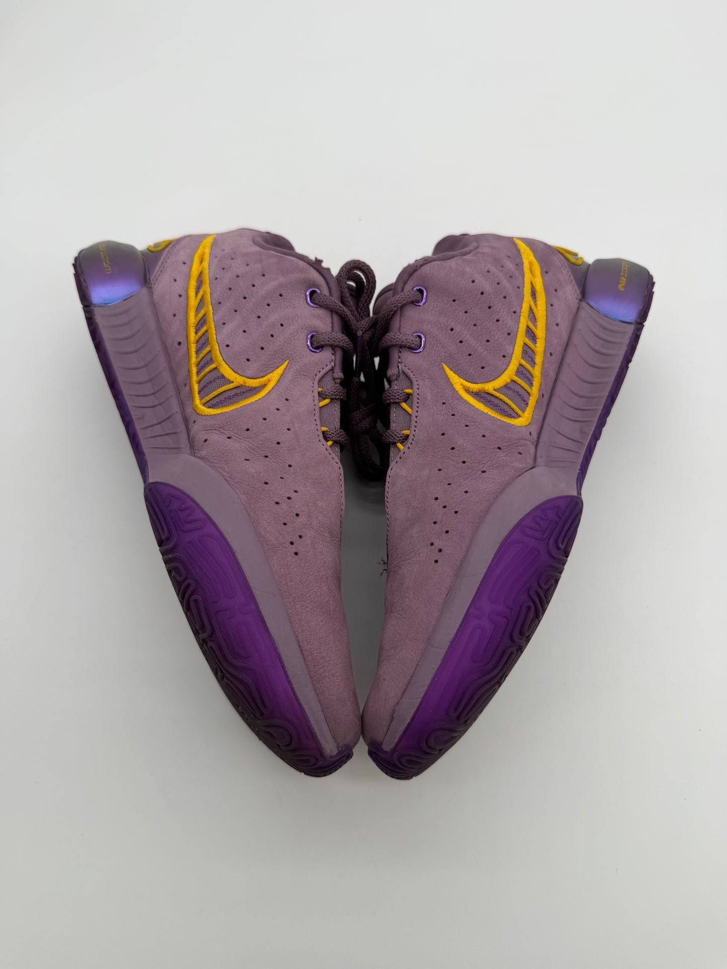 Nike LeBron 21 Purple Rain