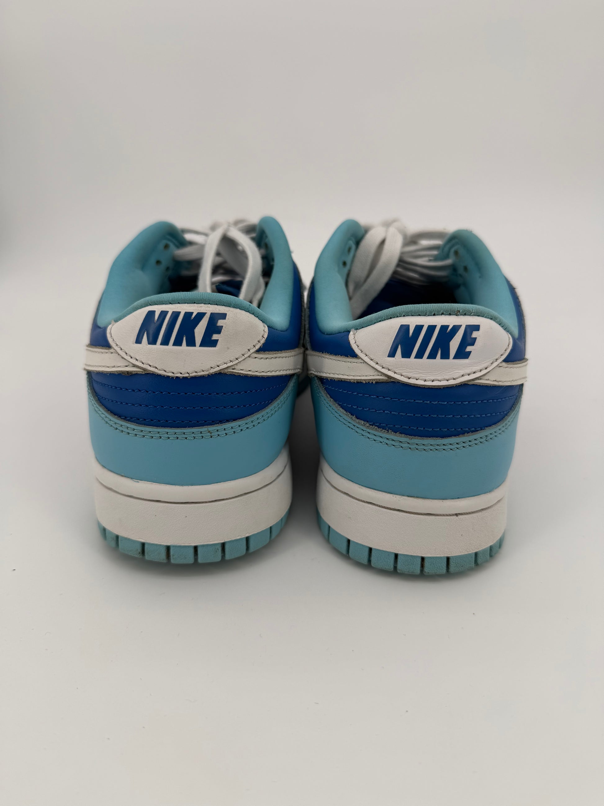 Nike Dunk Low Retro QS Argon (2022)