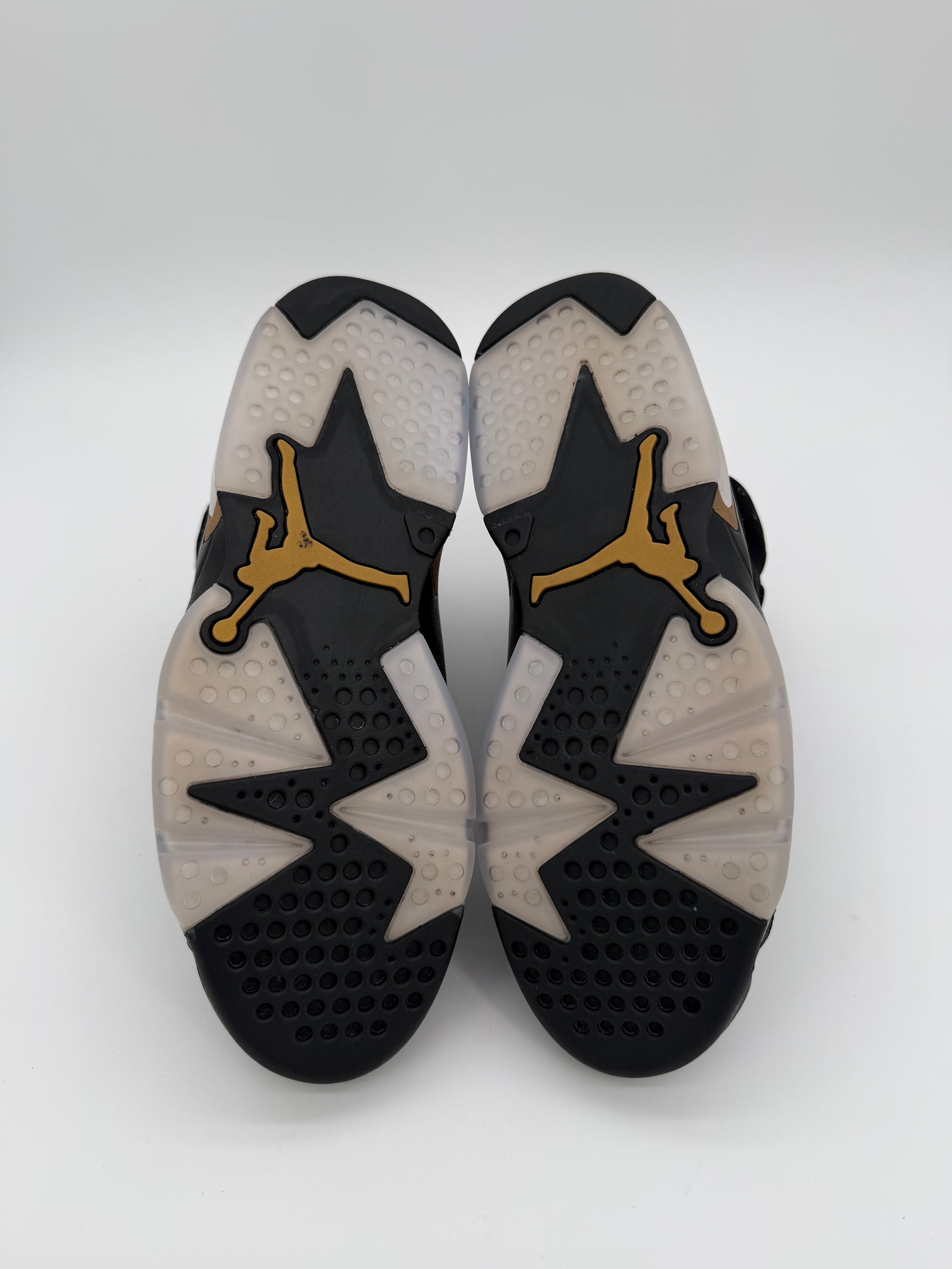 Jordan 6 Retro DMP (2020)