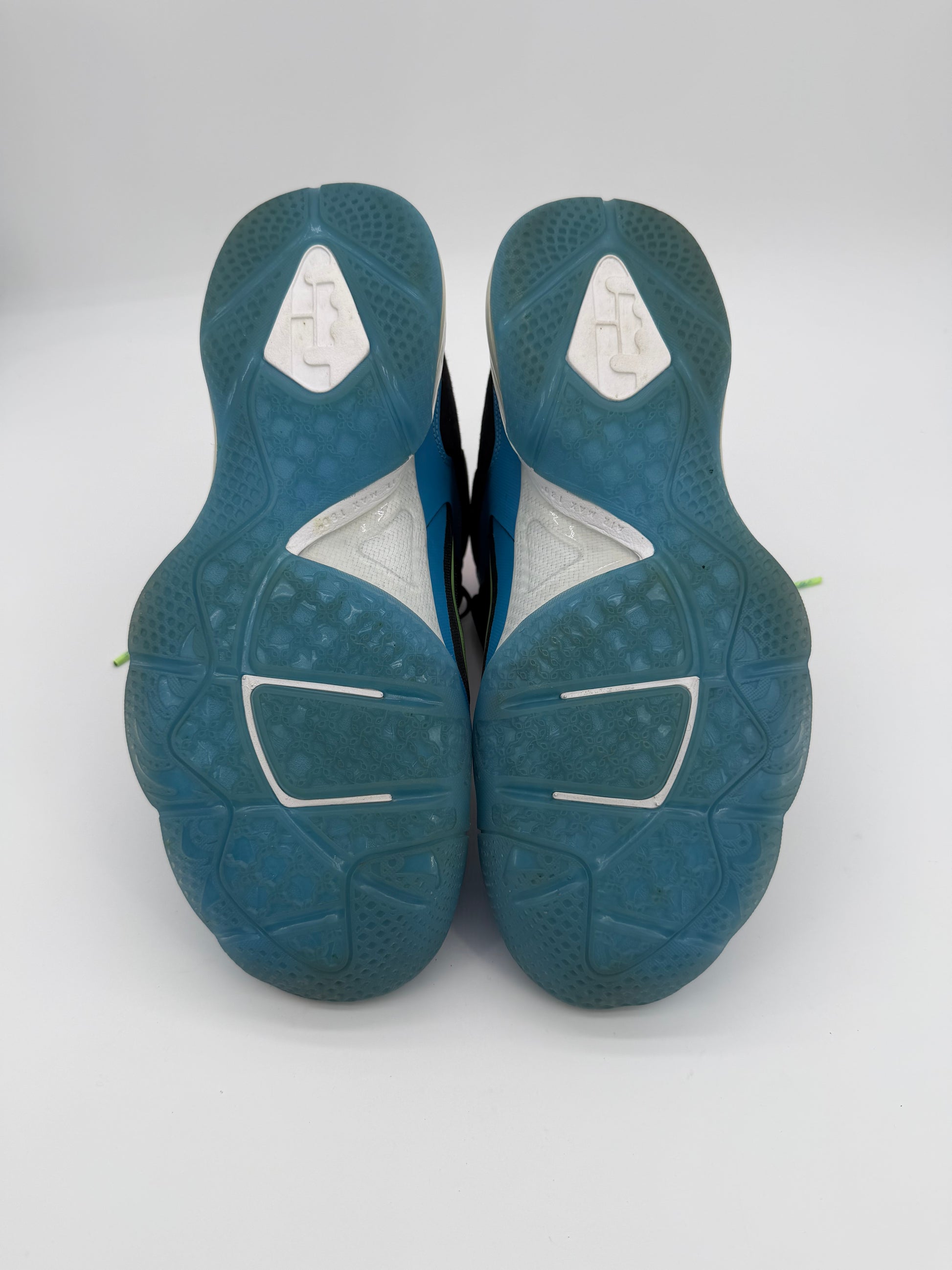 Nike LeBron 9 South Coast