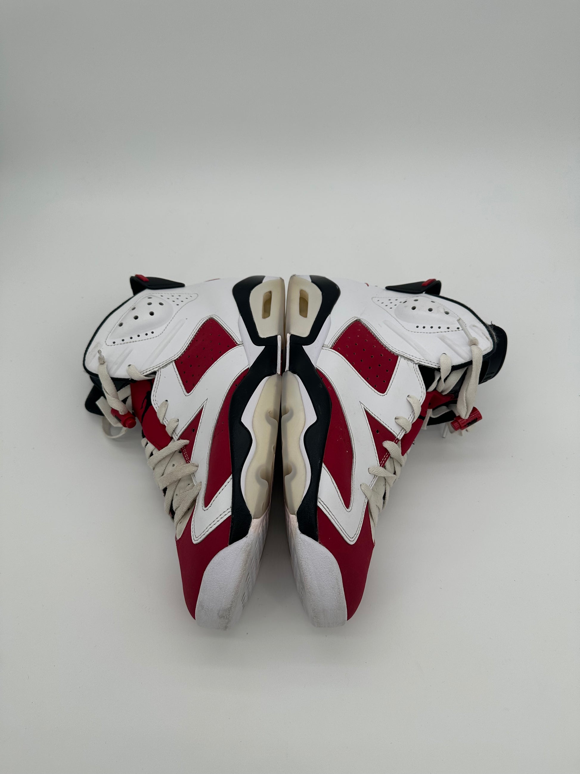 Jordan 6 Retro Carmine (2021)