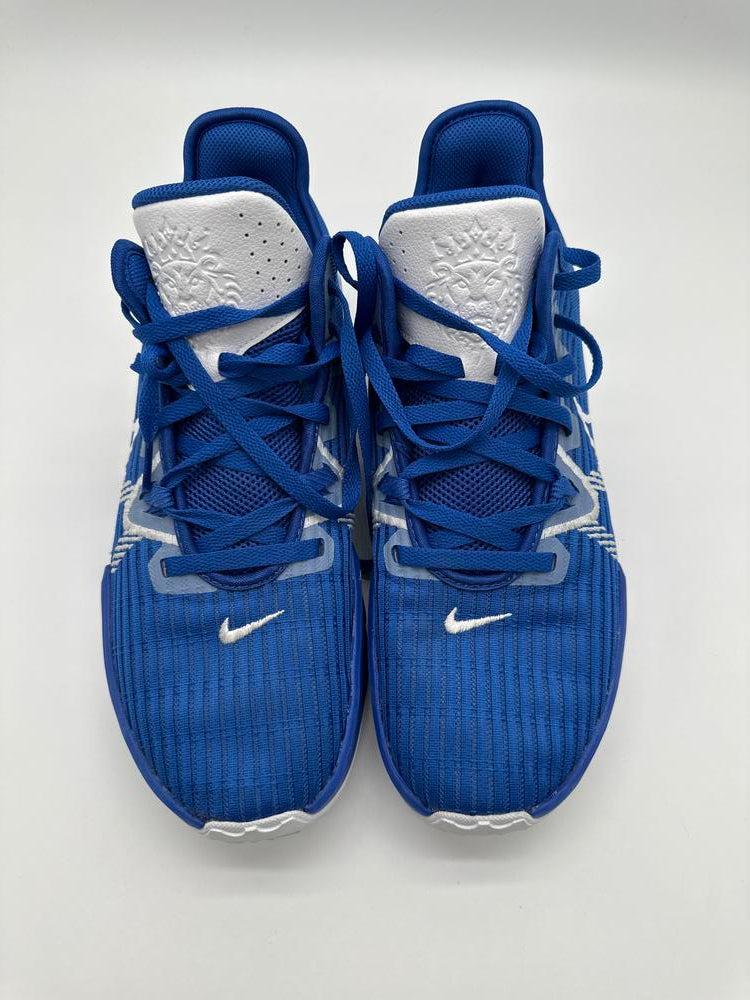 Nike LeBron Witness 6 Blue/White