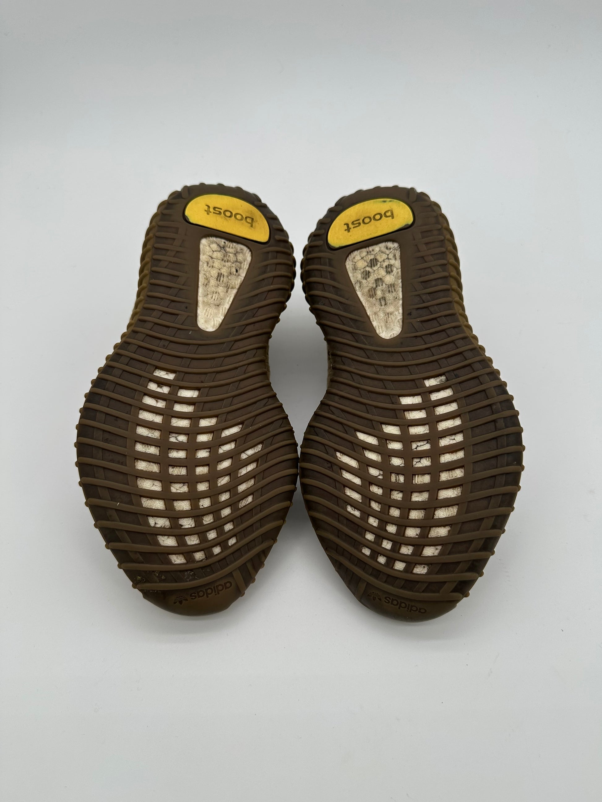 adidas Yeezy Boost 350 V2 Earth