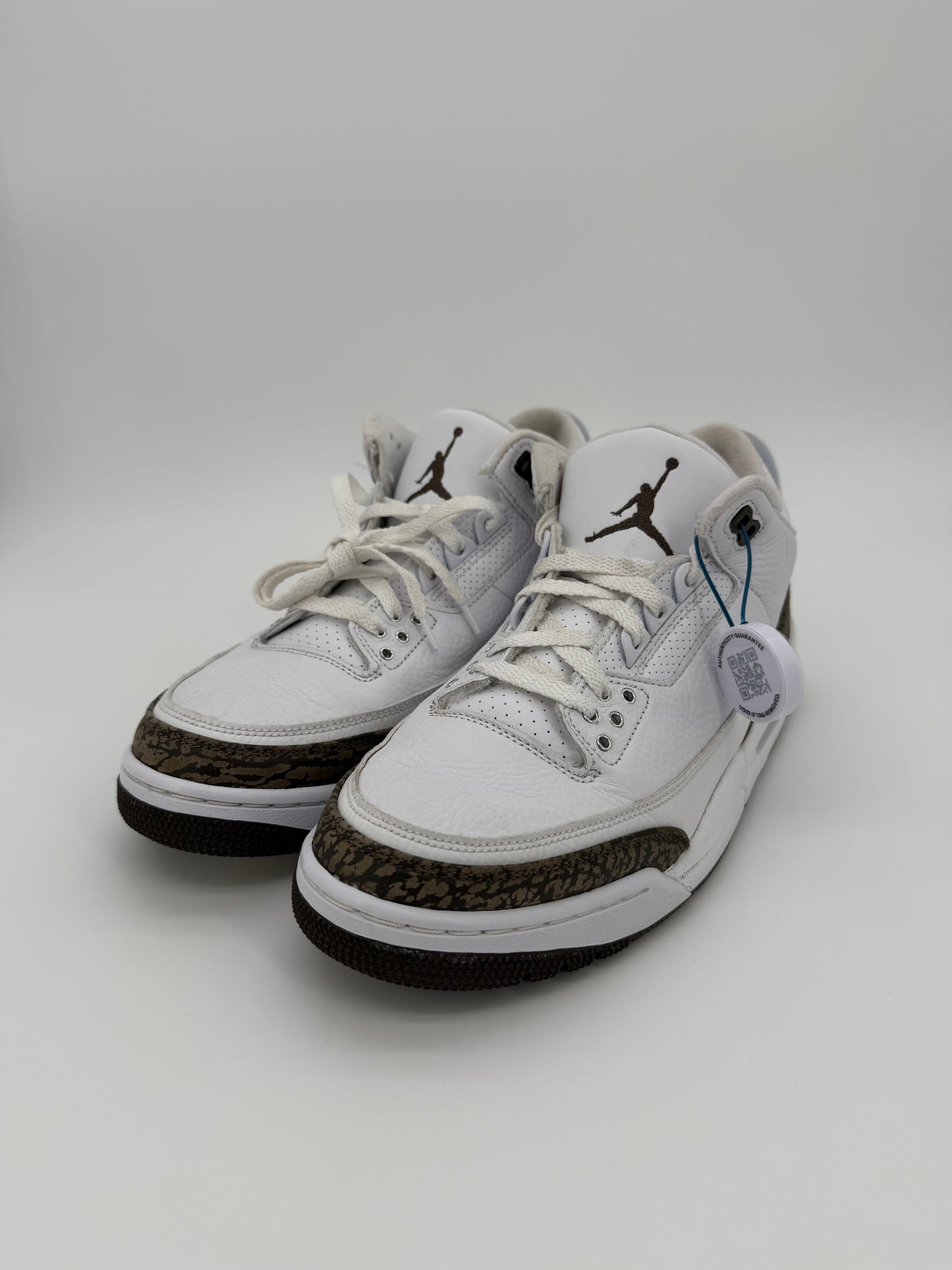 Jordan 3 Retro Mocha (2018)