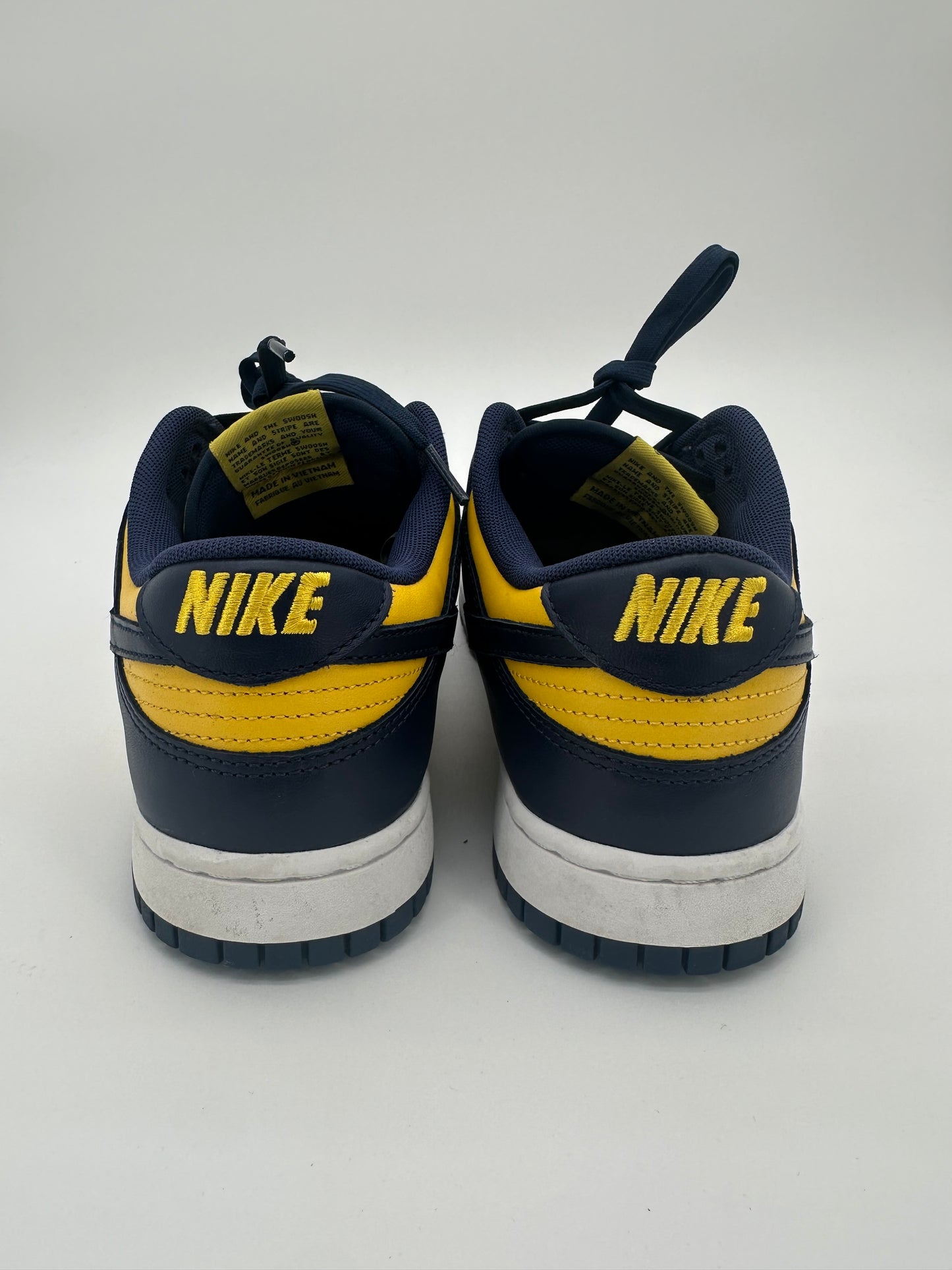 Nike Dunk Low Michigan (2021)