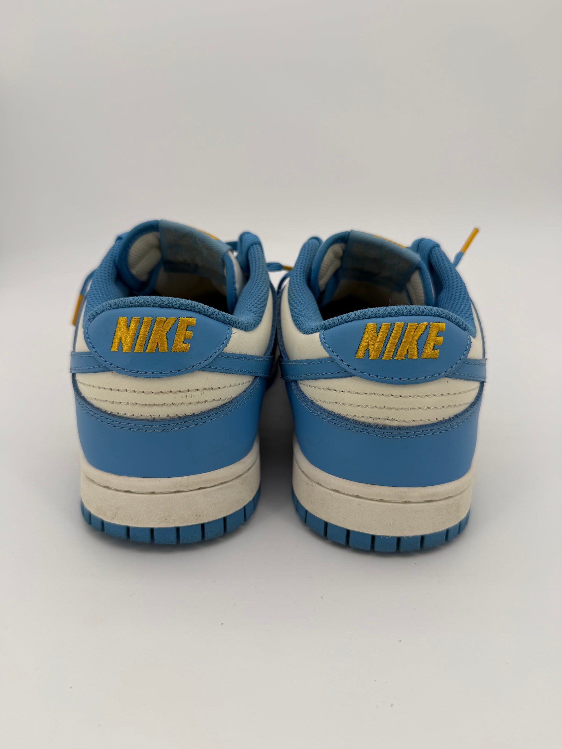 Nike Dunk Low Coast (Women's)
