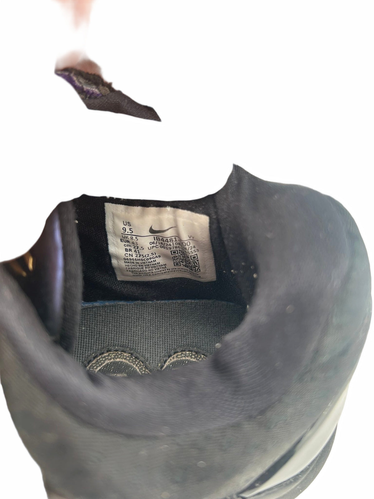 Nike Kobe 5 Protro Year of the Mamba Eggplant