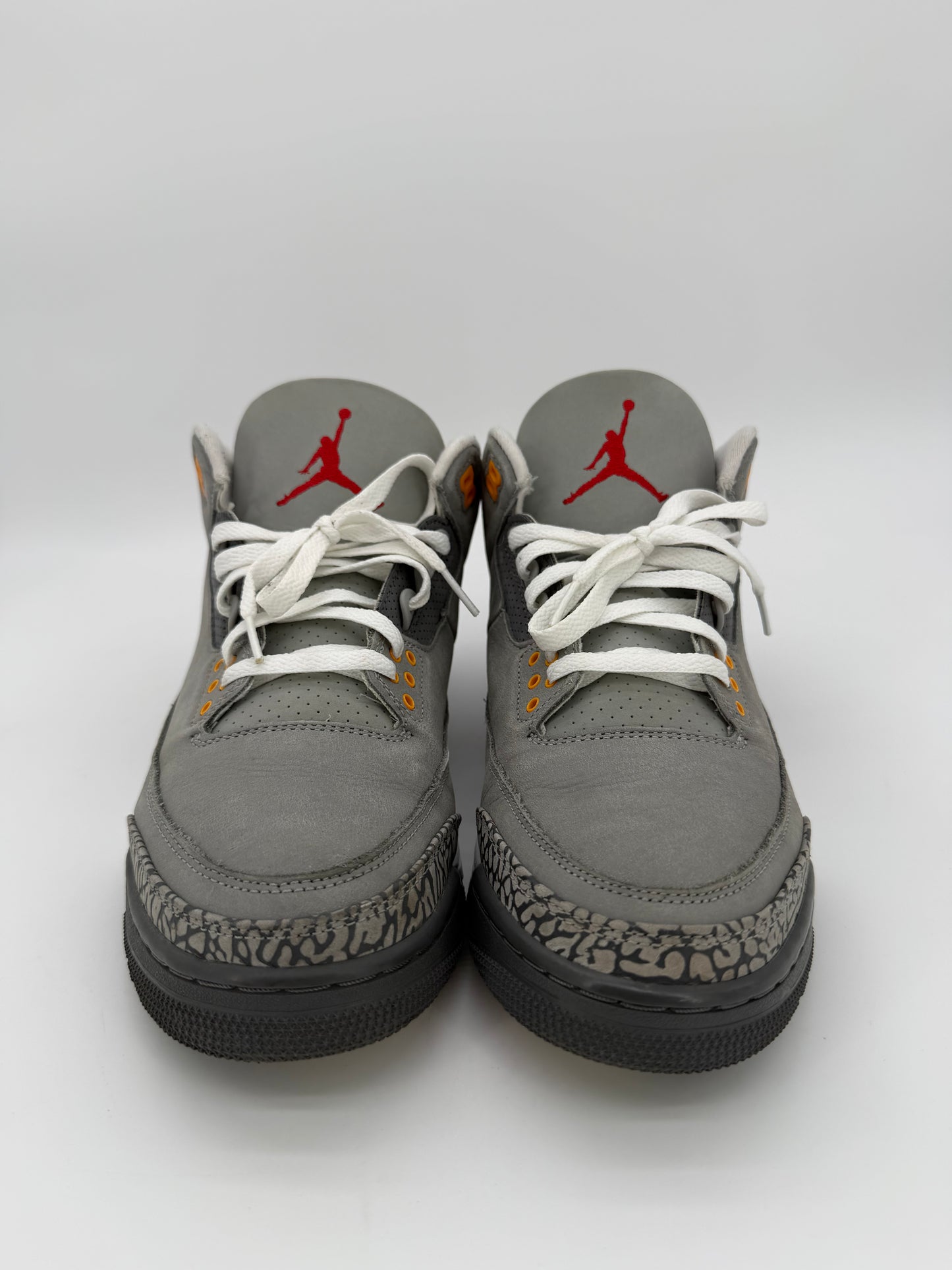 Jordan 3 Retro Cool Grey (2021)