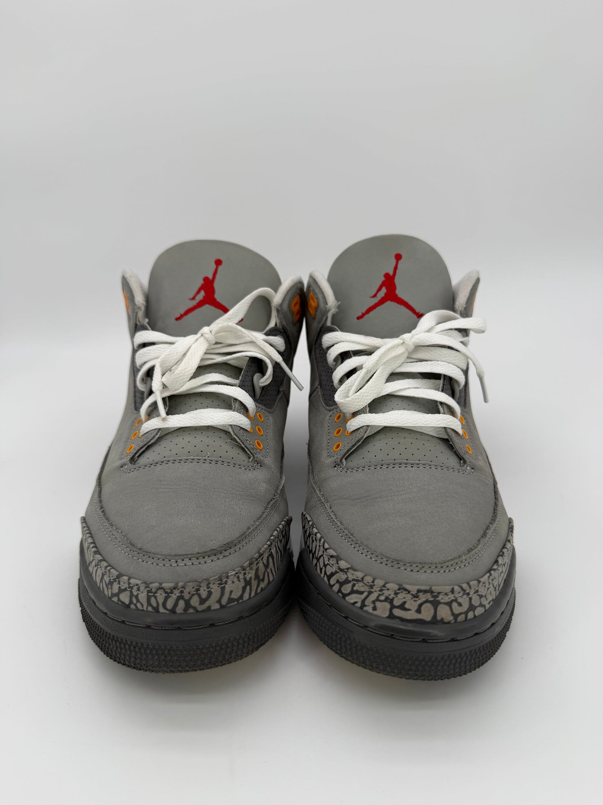 Jordan 3 Retro Cool Grey (2021)