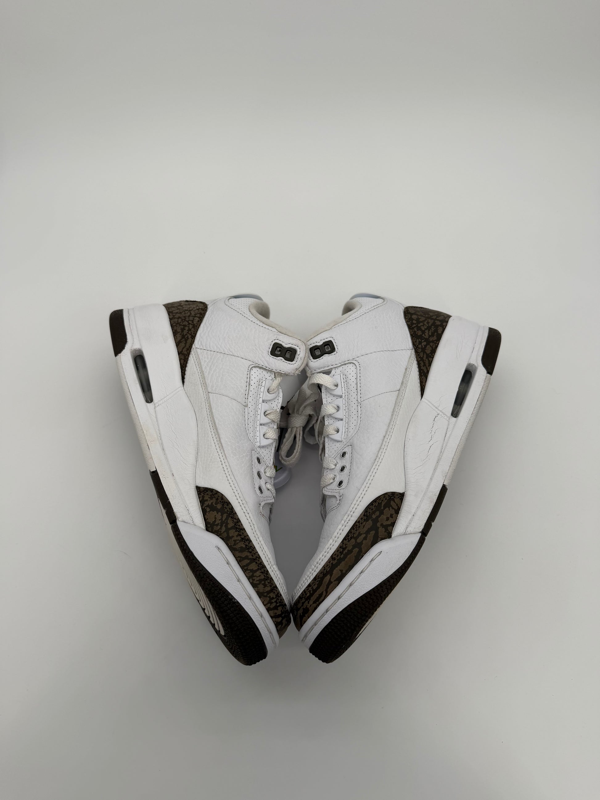 Jordan 3 Retro Mocha (2018)
