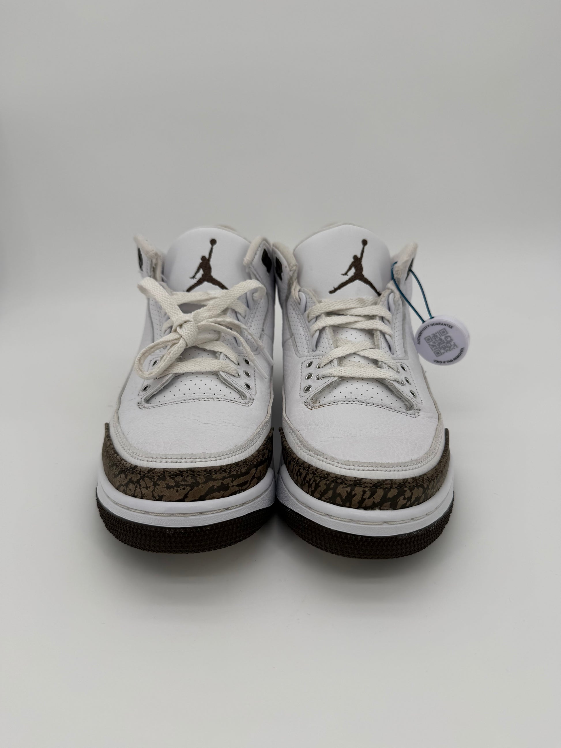 Jordan 3 Retro Mocha (2018)
