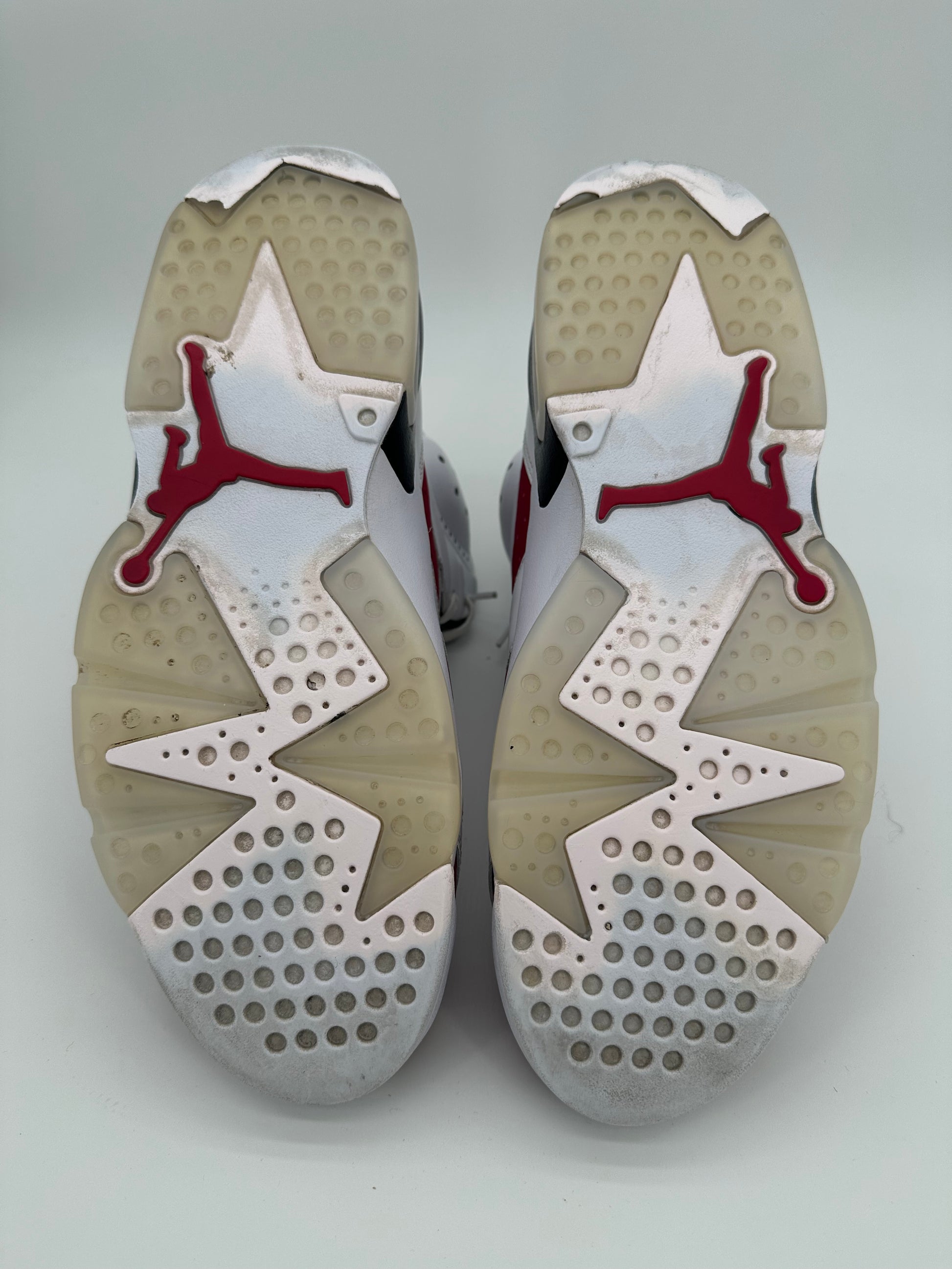 Jordan 6 Retro Carmine (2021)