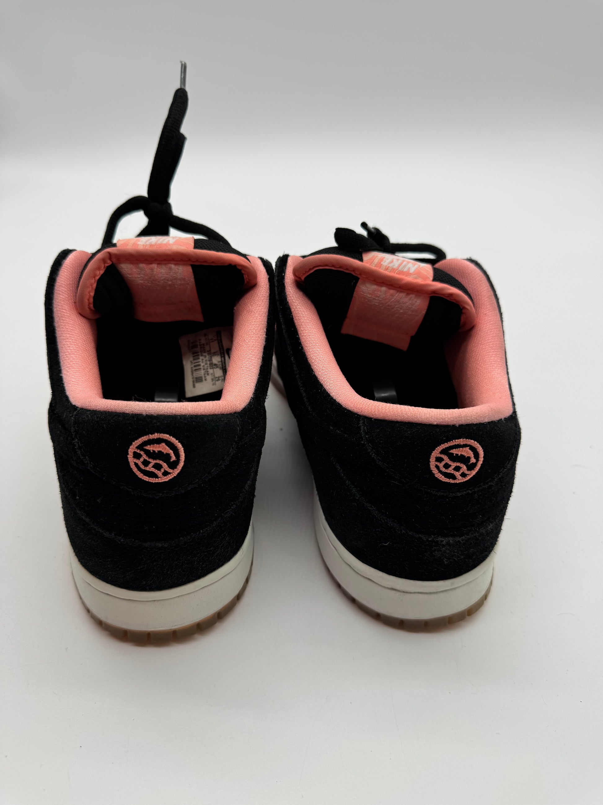 Nike SB Dunk Low Premier Fish Ladder
