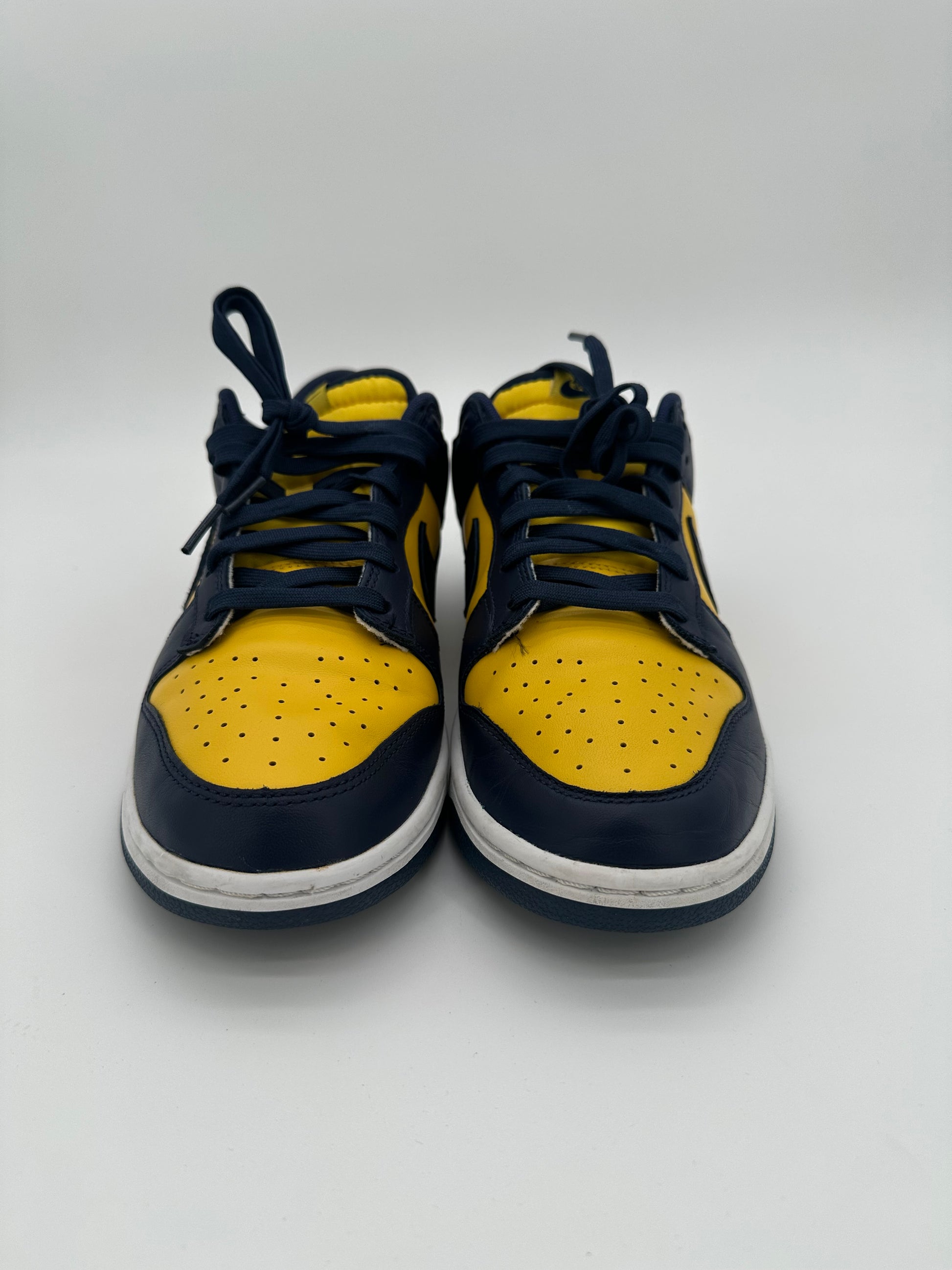 Nike Dunk Low Michigan (2021)