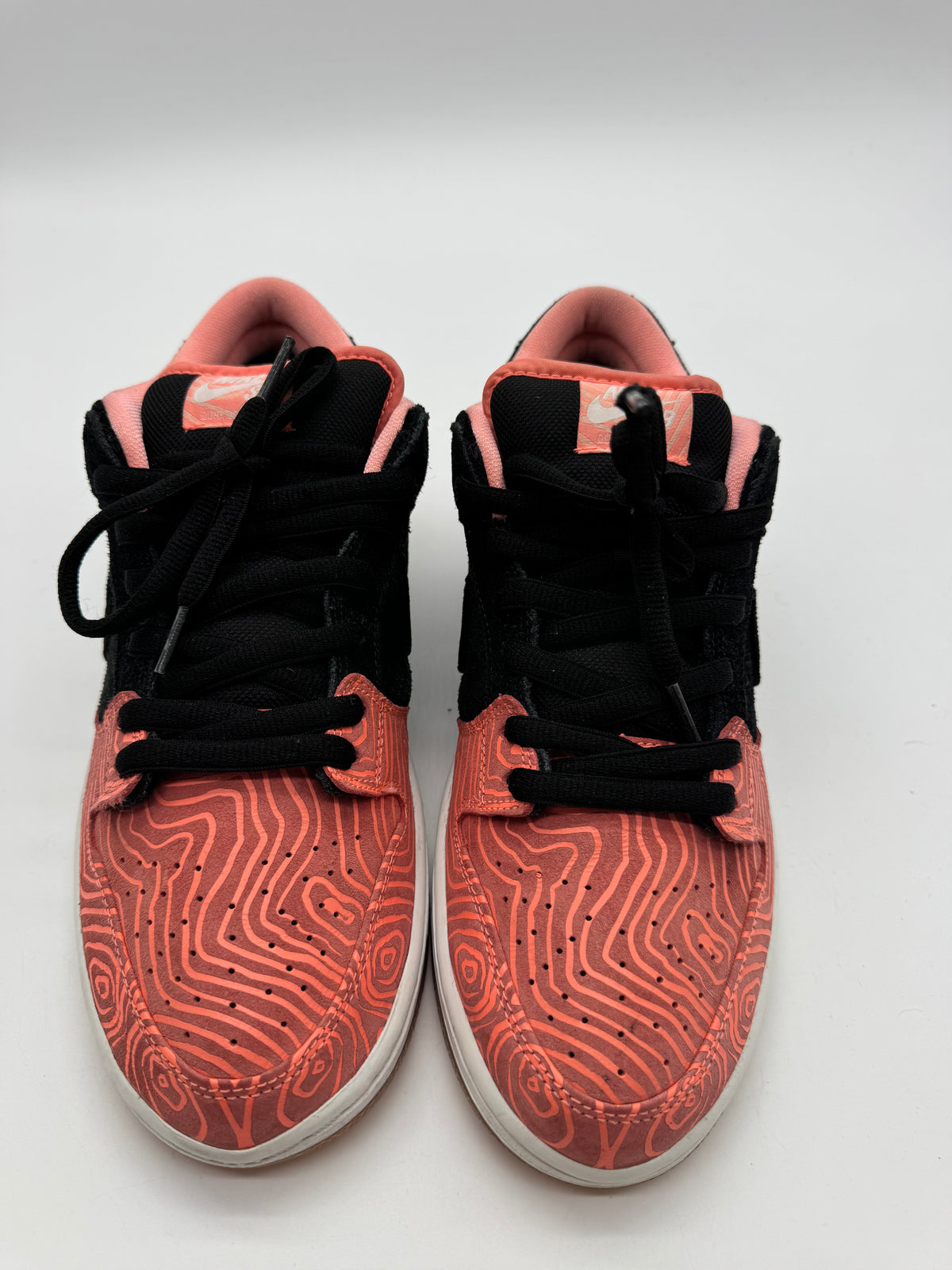 Nike SB Dunk Low Premier Fish Ladder