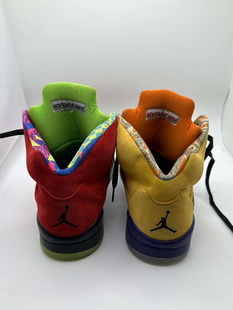 Jordan 5 Retro What The