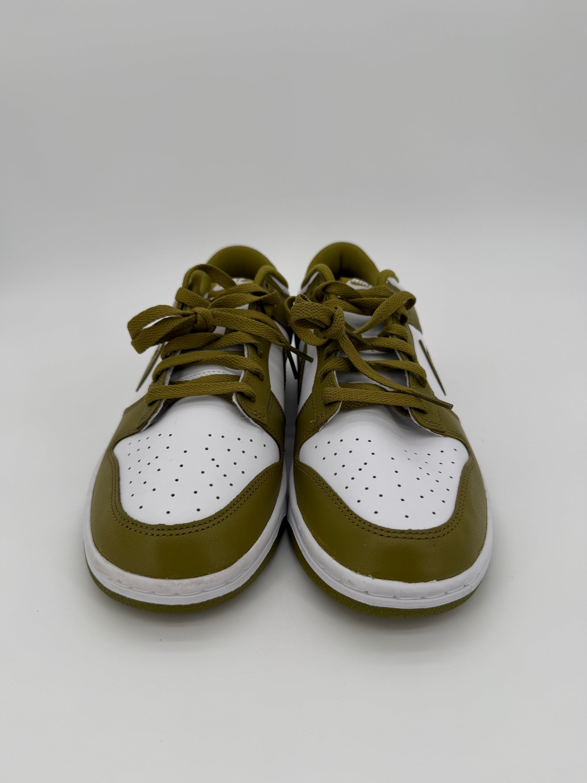 Nike Dunk Low Retro Pacific Moss