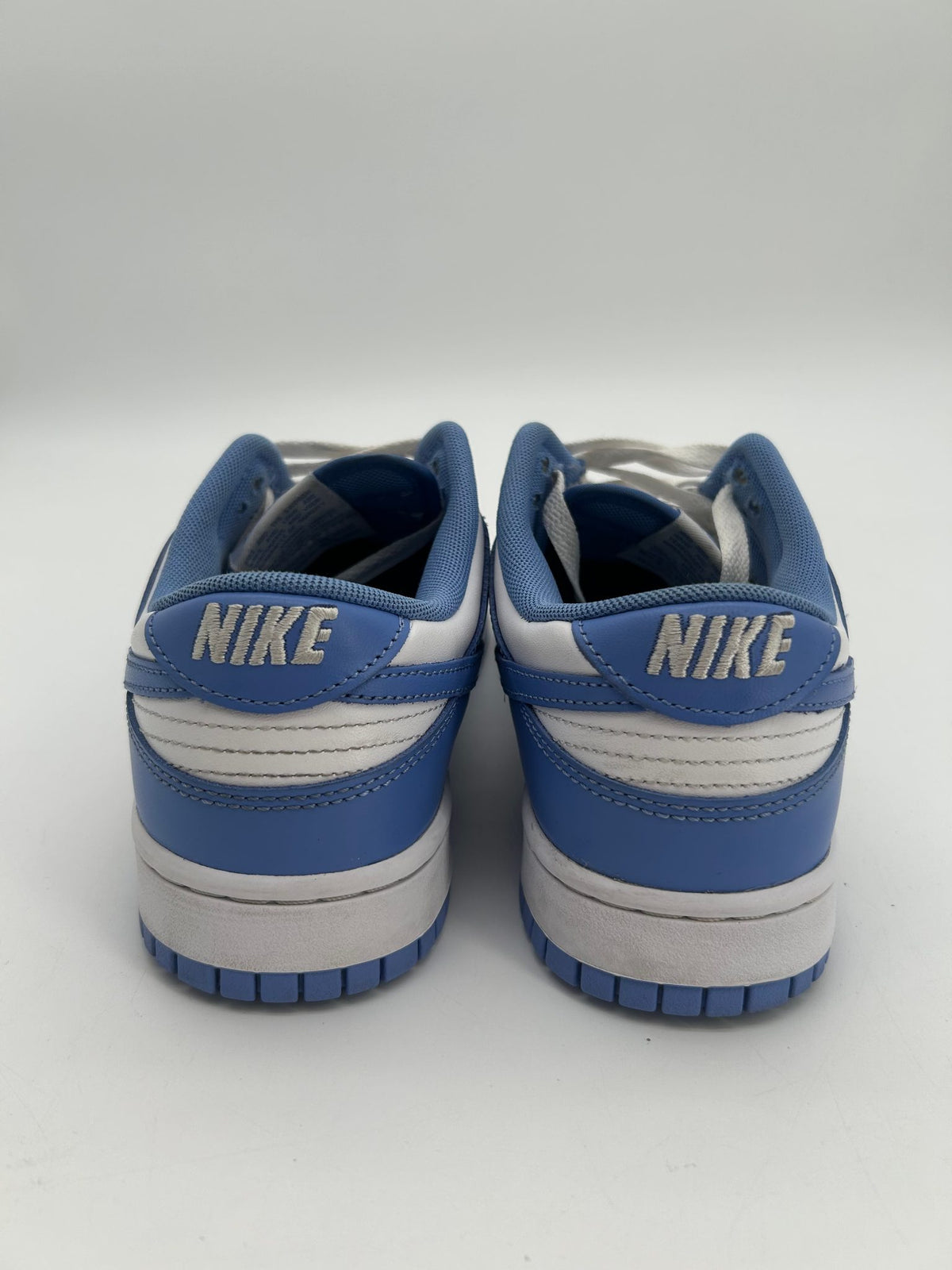 Nike Dunk Low Polar Blue