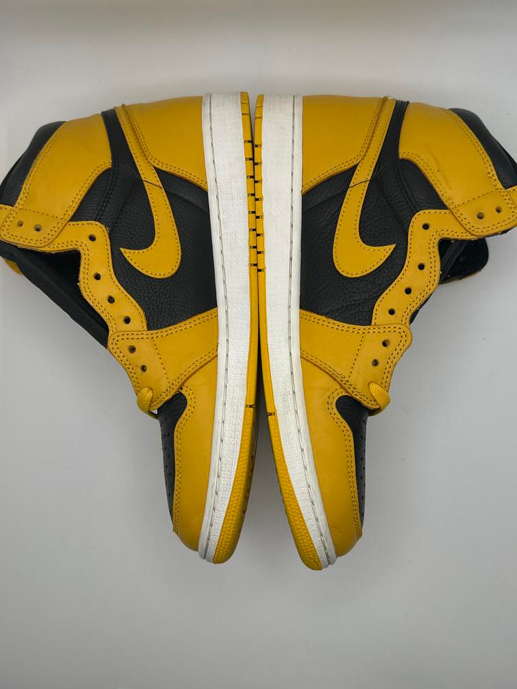 Jordan 1 Retro High Pollen