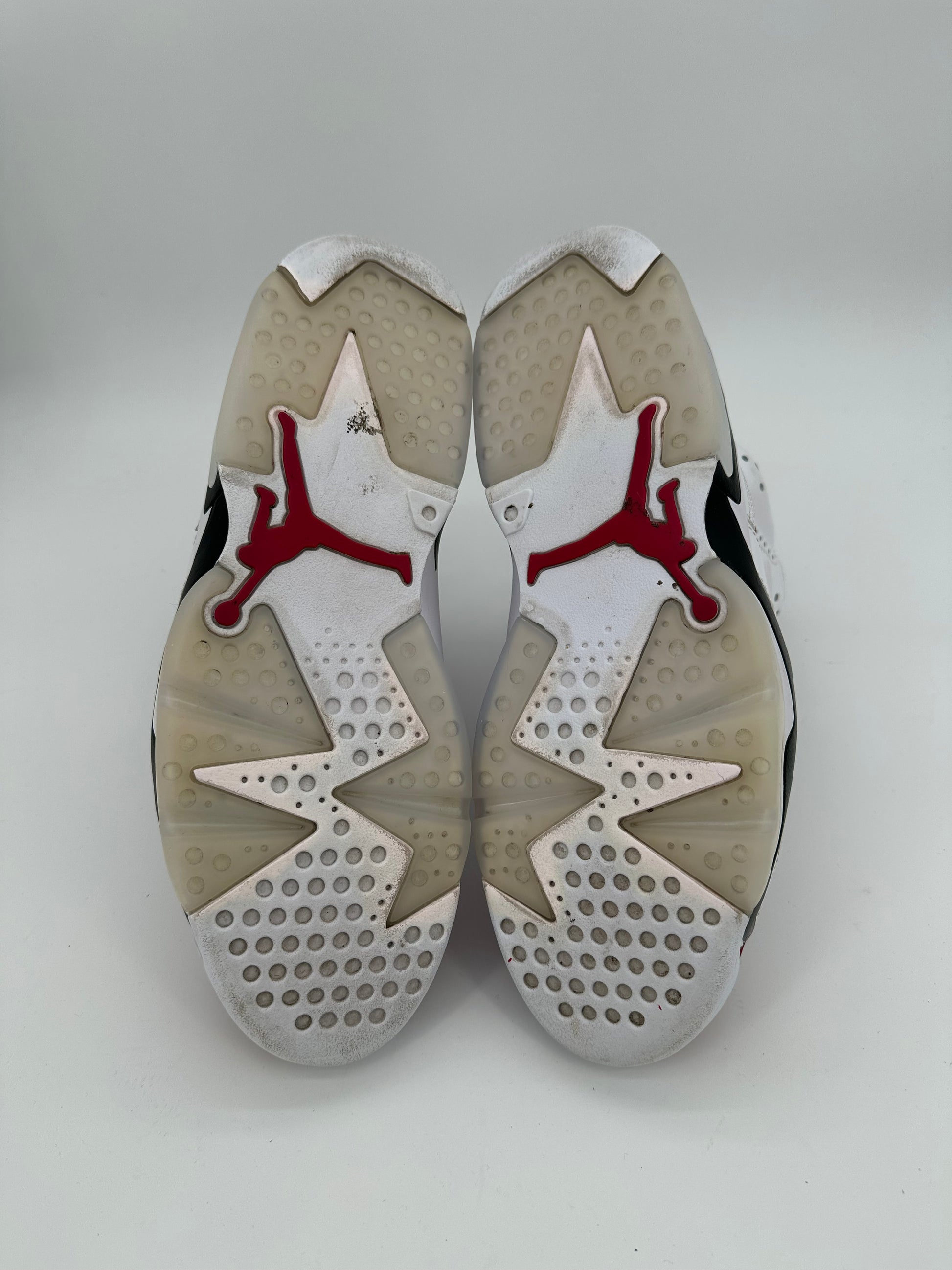 Jordan 6 Retro Carmine (2021)