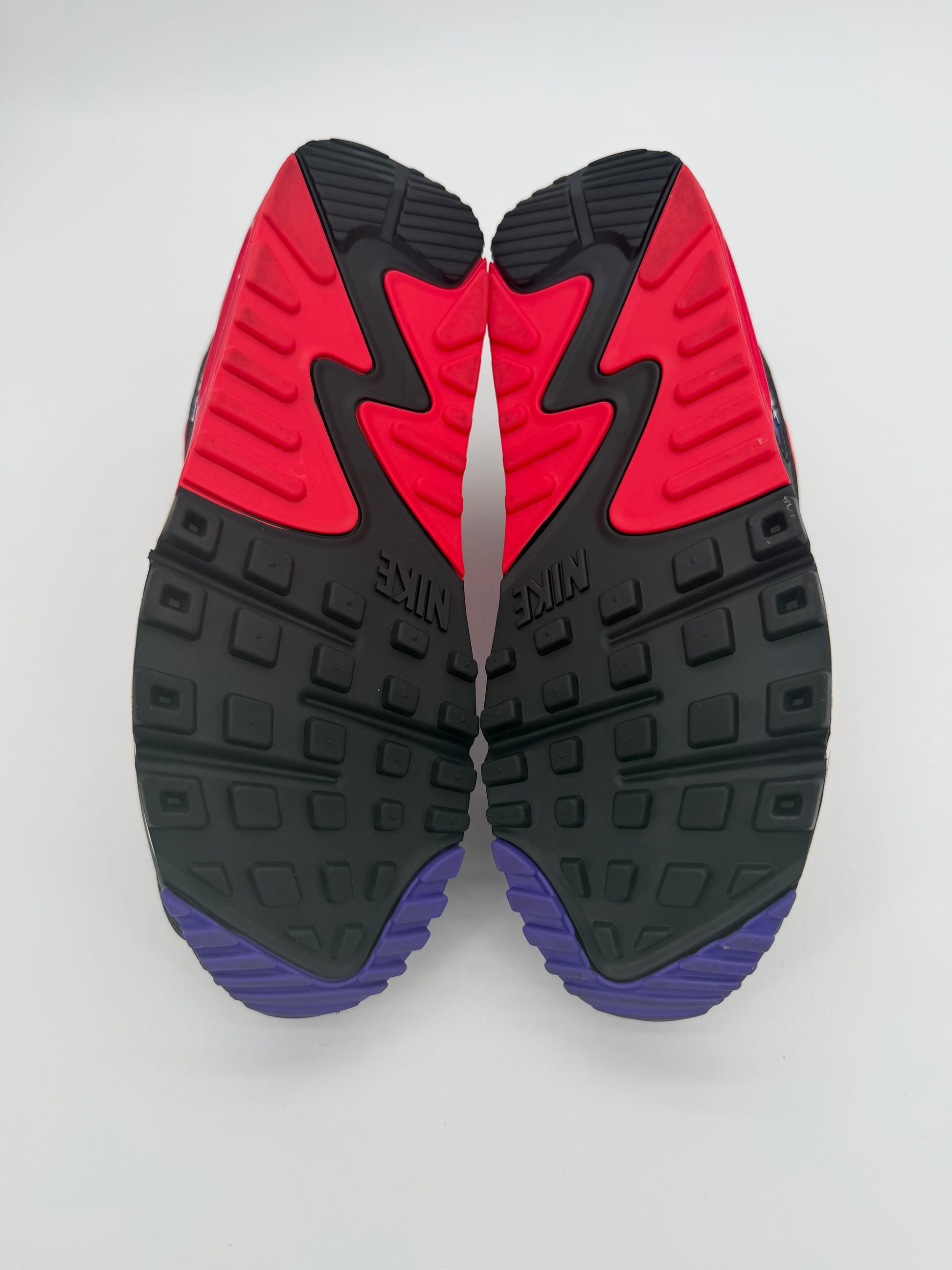 Nike Air Max 90 Raptors