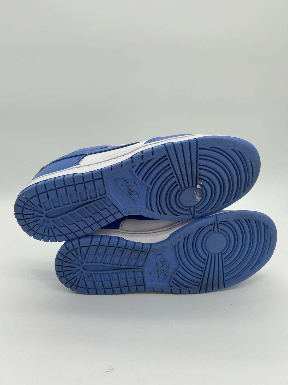 Nike Dunk Low Polar Blue